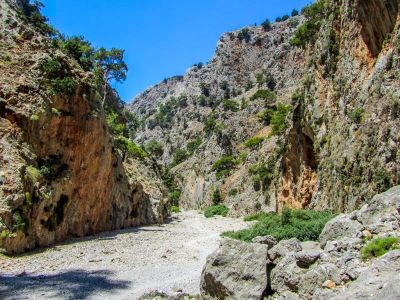 aradaina