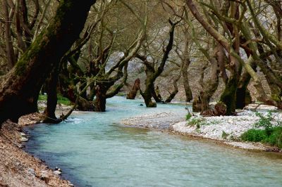 dsc 066311111
