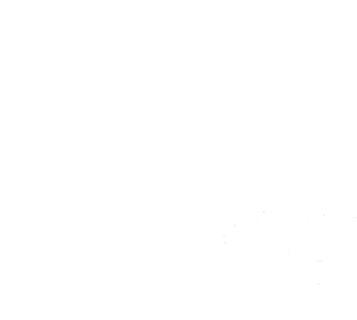 STEFI International